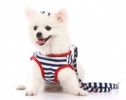 depuppy-tentang kami